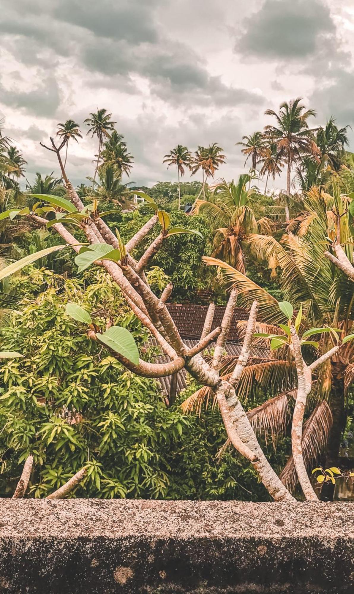 Weligama Bay Eco Villa Bagian luar foto